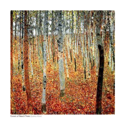 Forest of Beech Trees, c.1903 - Wall Art Print, 20x20