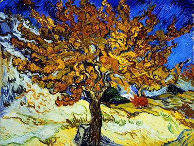 Mulberry Tree, c.1889 - Giclee Print, 16x12