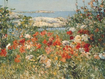 Ocean View - Wall Art Print, 16x12 Ocean View - Wall Art Print, 16x12