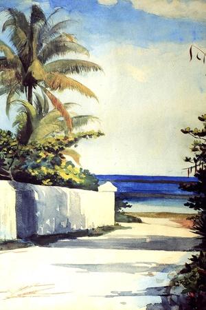 Road in Nassau, 1898-99 - Giclee Print, 12x18 Road in Nassau, 1898-99 - Giclee Print, 12x18